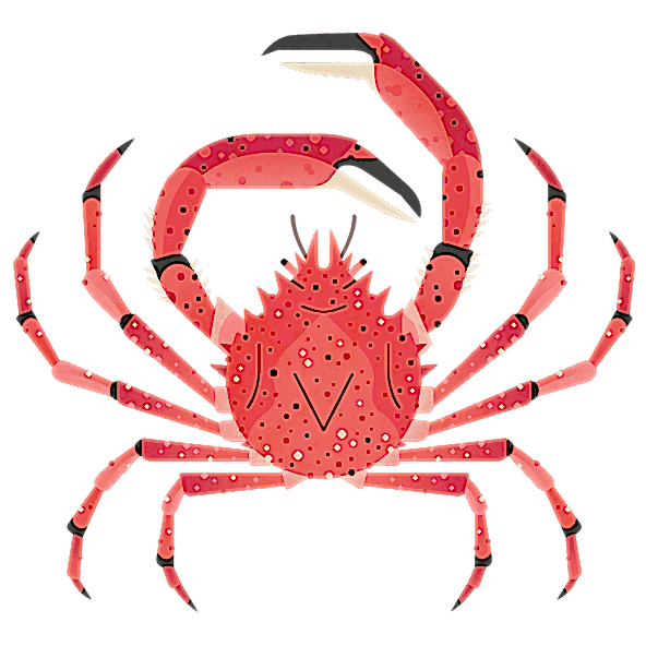 Crab Spider M 960.png