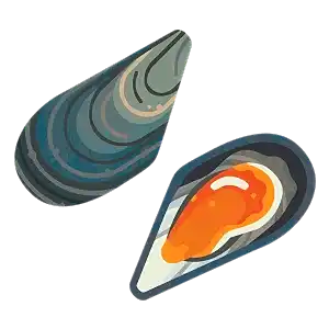 Blue mussel