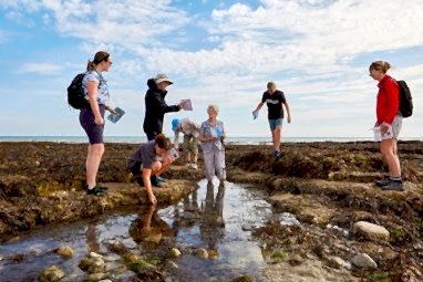 A group of seven adults seaweed search in rock pools at Rottingdean Beach.