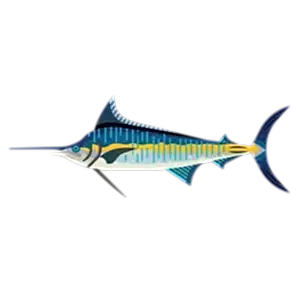 Blue marlin