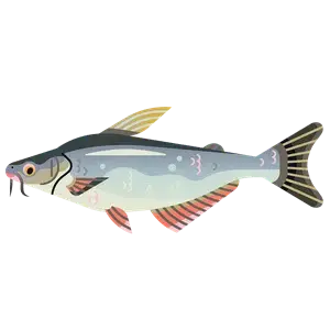 Basa