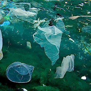 Different types of plastic including bags, cups and straws are pictured under the ocean, highlighting the plastic pollution problem