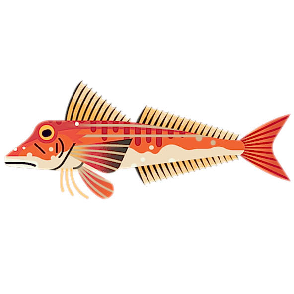 Gurnard Red M 960.png