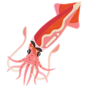 Argentine shortfin squid