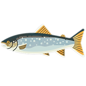 Arctic char