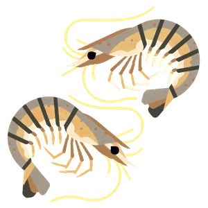 Brown shrimp