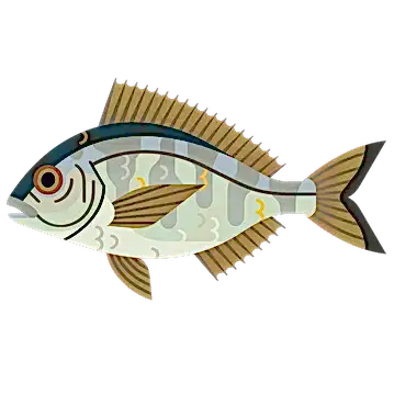 Bream Black M 960.png