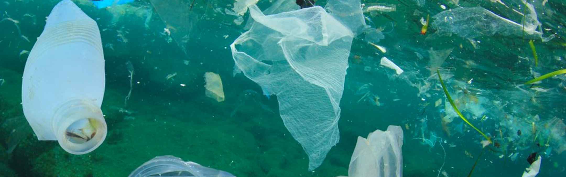 Different types of plastic including bags, cups and straws are pictured under the ocean, highlighting the plastic pollution problem